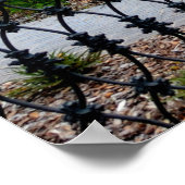 Historic Forsyth Park Fountain Poster (Hoek)