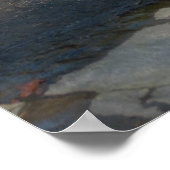 Historic Grist Mill Poster (Hoek)