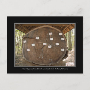 Historic Landmark Park, Dothan Alabama Post Card Briefkaart