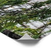 Historic Mill Wigwam Burner near Florence, Oregon Poster (Hoek)