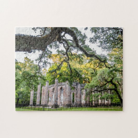 Historic Old Sheldon Church Ruins Foto Puzzle Legpuzzel (Horizontaal)