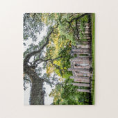Historic Old Sheldon Church Ruins Foto Puzzle Legpuzzel (Verticaal)
