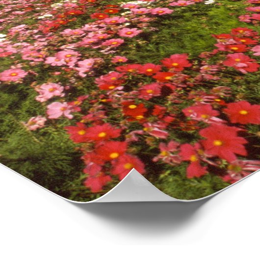 Historic Railway Station, Dunedin, New Zealand Poster (Hoek)