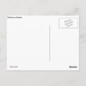 Historic Red Pig BBQ in Concord NC Briefkaart (Achterkant)