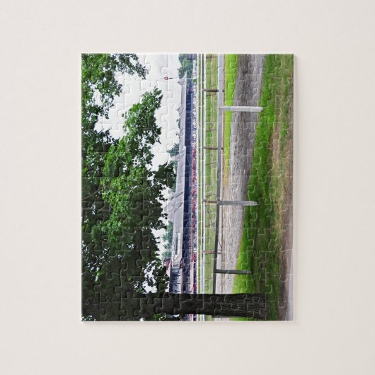 Historic Saratoga and Clare Court Legpuzzel (Verticaal)