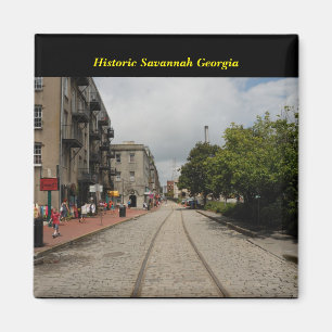 Historic Savannah Georgia Magneet