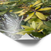 Historic Scotney Castle Kent England Foto Afdruk (Hoek)