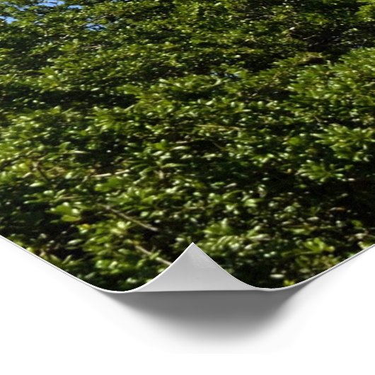 Historic St. Augustine, vuurtoren van Florida Poster (Hoek)