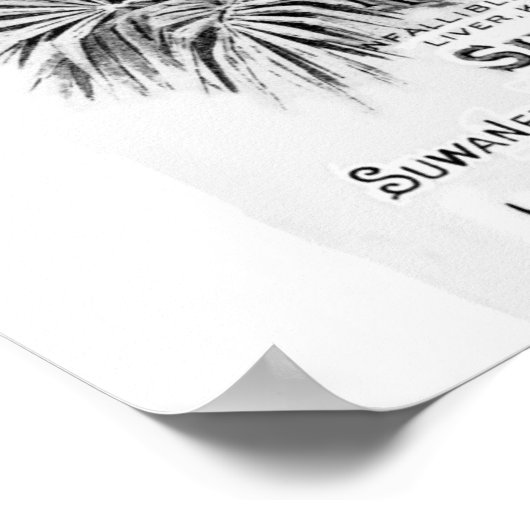 Historic Suwannee Springs, Florida suwannee river Poster (Hoek)