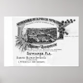 Historic Suwannee Springs, Florida suwannee river Poster (Voorkant)