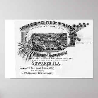 Historic Suwannee Springs, Florida suwannee river Poster
