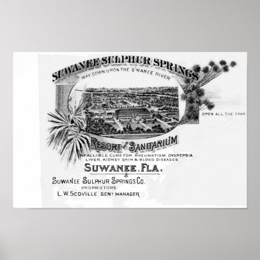 Historic Suwannee Springs, Florida suwannee river Poster (Voorkant)