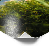 Historici Nederlandse windmolens nabij Rotterdam Foto Afdruk (Hoek)