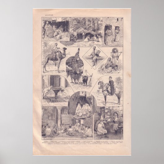 historisch 1920 Algerije Poster (Voorkant)