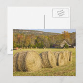 Historisch boerderij in de nationale buffelrivier, briefkaart (Voorkant / Achterkant)