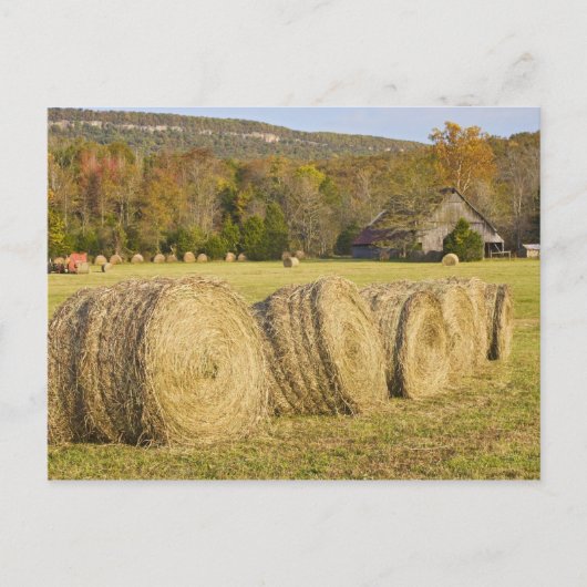 Historisch boerderij in de nationale buffelrivier, briefkaart (Voorkant)