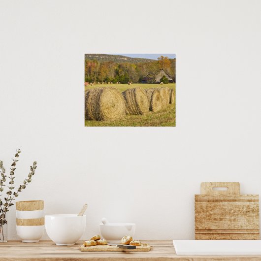 Historisch boerderij in de nationale buffelrivier, poster (Keuken)