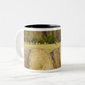 Historisch boerderij in de nationale buffelrivier, tweekleurige koffiemok (Voorkant links)