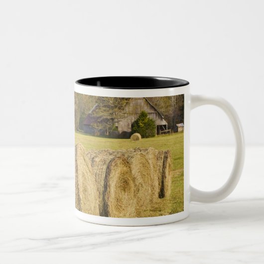 Historisch boerderij in de nationale buffelrivier, tweekleurige koffiemok (Rechts)