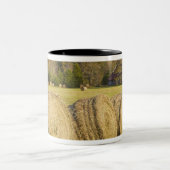 Historisch boerderij in de nationale buffelrivier, tweekleurige koffiemok (Center)