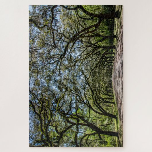 Historisch gebied Wormsloe Legpuzzel (Verticaal)