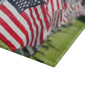 Historisch militair kerkhof met Amerikaanse vlagge Snijplank (Hoek)