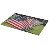 Historisch militair kerkhof met Amerikaanse vlagge Snijplank (Hoek)