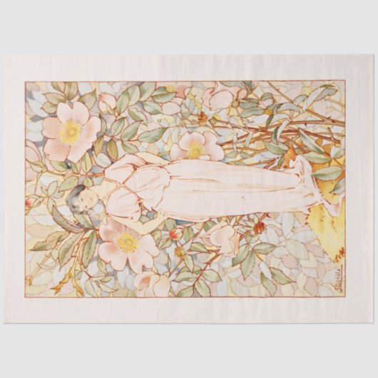 Historisch  Nieuw-Nieuw-Zeelandse Zeemaas Tissuepapier (Voorkant)