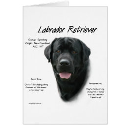Historisch ontwerp voor labrador Retriever (blk)