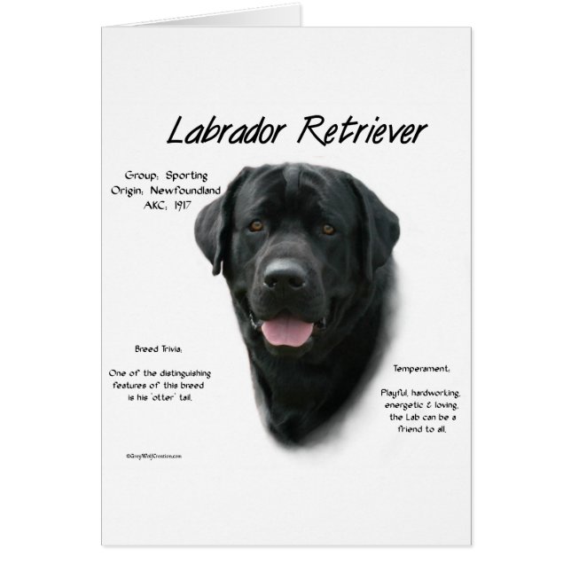 Historisch ontwerp voor labrador Retriever (blk) (Voorkant)