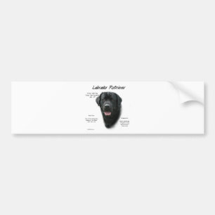 Historisch ontwerp voor labrador Retriever (blk) Bumpersticker