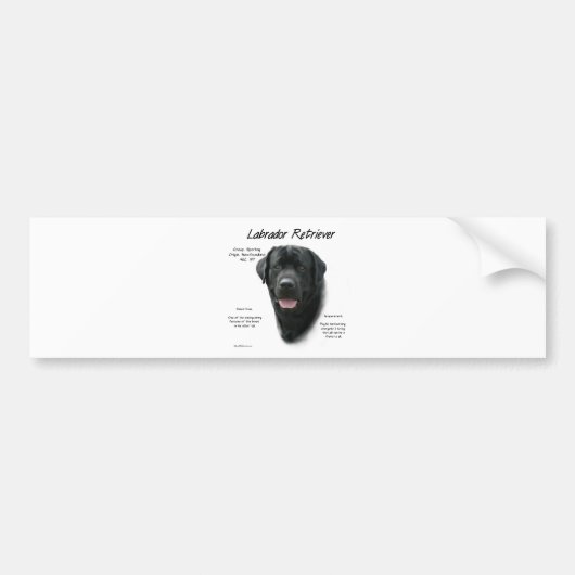 Historisch ontwerp voor labrador Retriever (blk) Bumpersticker (Voorkant)