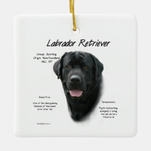 Historisch ontwerp voor labrador Retriever (blk) Keramisch Ornament
