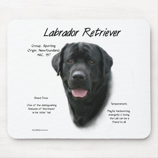 Historisch ontwerp voor labrador Retriever (blk) Muismat (Voorkant)