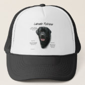 Historisch ontwerp voor labrador Retriever (blk) Trucker Pet (Voorkant)