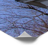 Historisch perspectief Charleston, SC Poster (Hoek)