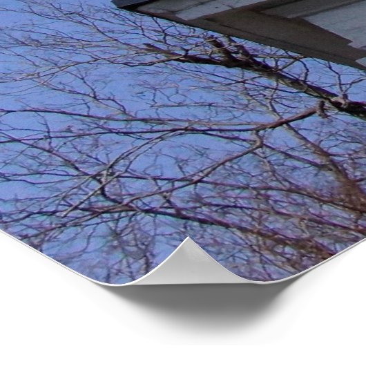 Historisch perspectief Charleston, SC Poster (Hoek)