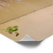 Historisch venster Charleston Poster (Hoek)