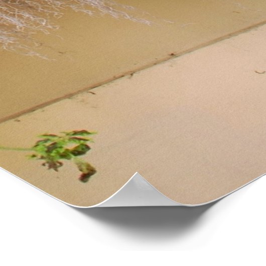 Historisch venster Charleston Poster (Hoek)