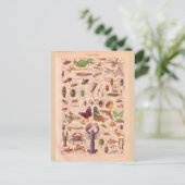 historische Artropotigen Briefkaart (Staand voorkant)