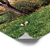 Historische Blanchard Schoolhouse..... Poster (Hoek)