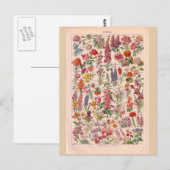 historische bloemen briefkaart (Voorkant / Achterkant)