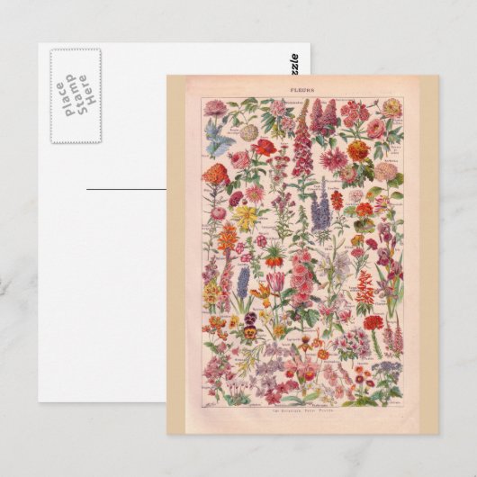  historische bloemen briefkaart (Voorkant / Achterkant)