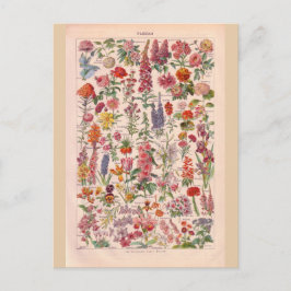  historische bloemen briefkaart
