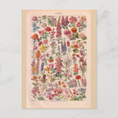  historische bloemen briefkaart (Voorkant)
