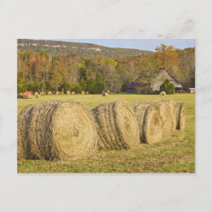Historische boerderij in de Buffalo National River Briefkaart