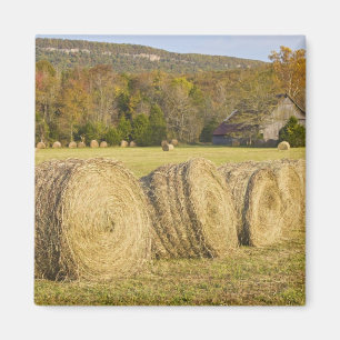 Historische boerderij in de Buffalo National River Magneet