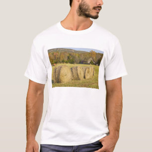 Historische boerderij in de Buffalo National River T-shirt