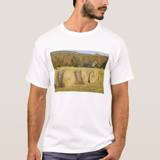Historische boerderij in de Buffalo National River T-shirt
