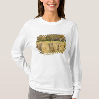 Historische boerderij in de Buffalo National River T-shirt